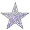 Hofert LED Lighted Color Changing Spun Glass Hanging Star Christmas Decoration - 24"